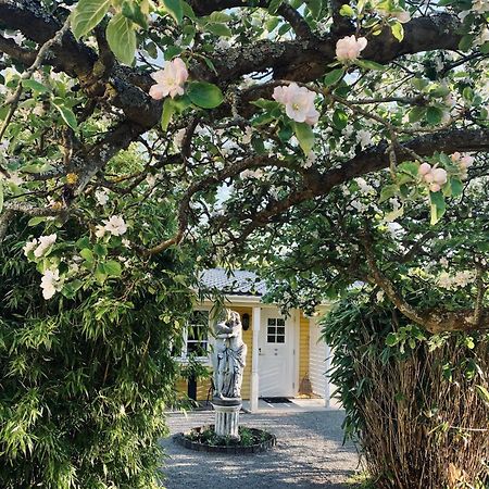 Villa Sol B&B And Hostel Borgholm Extérieur photo