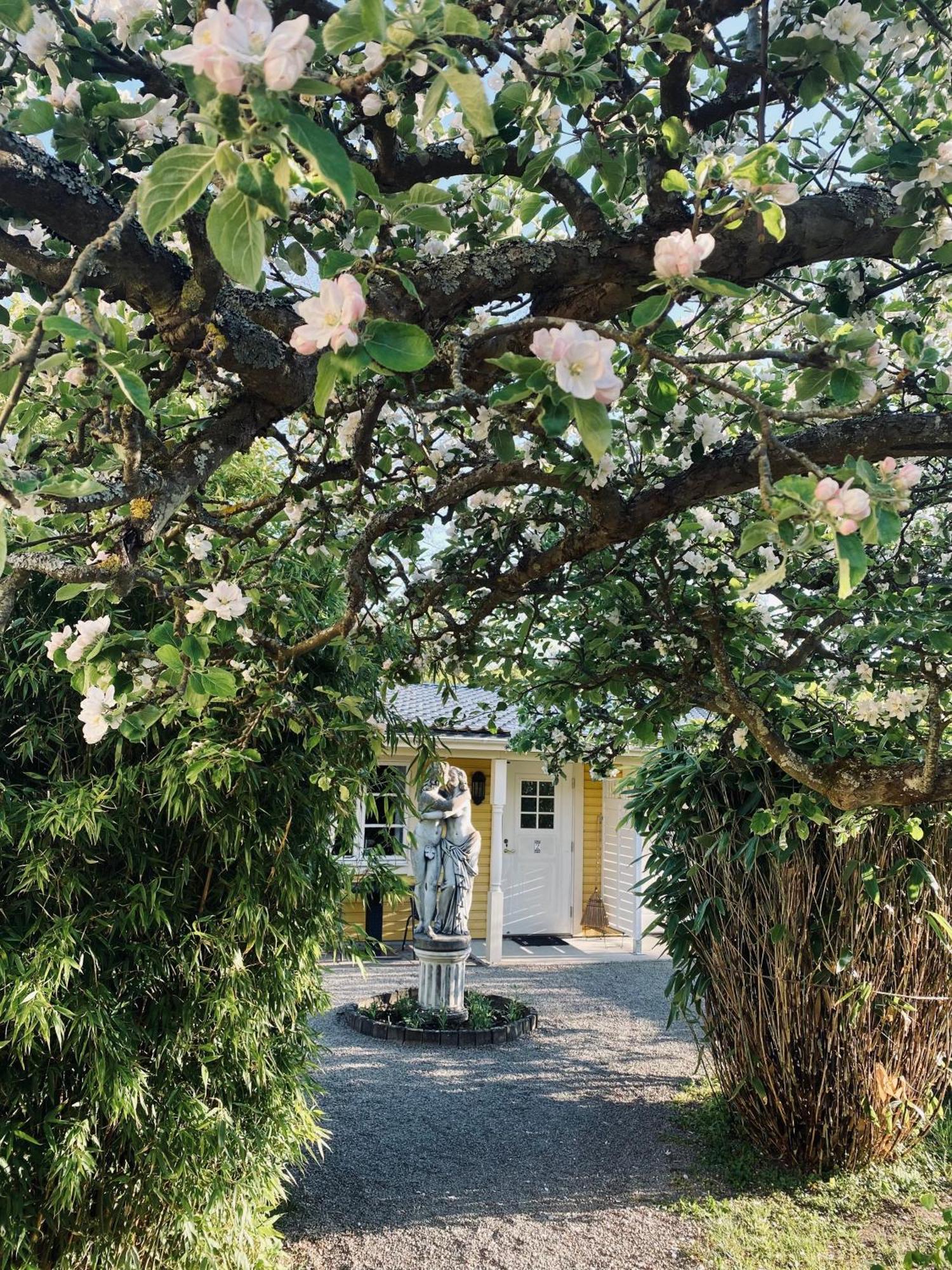 Villa Sol B&B And Hostel Borgholm Extérieur photo